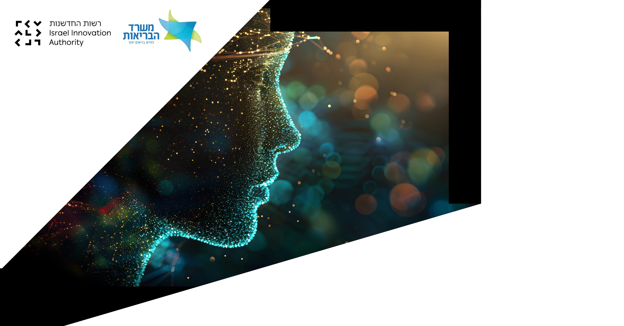 Mental health call for proposal