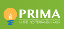 Prima Logo 2025