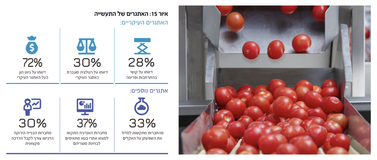 איור 15 : האתגרים של התעשייה