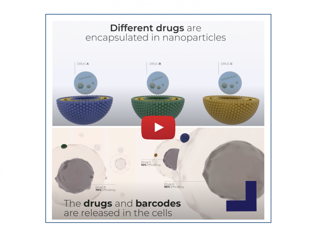 creus shtdbuxyhe הפניה לסרטון