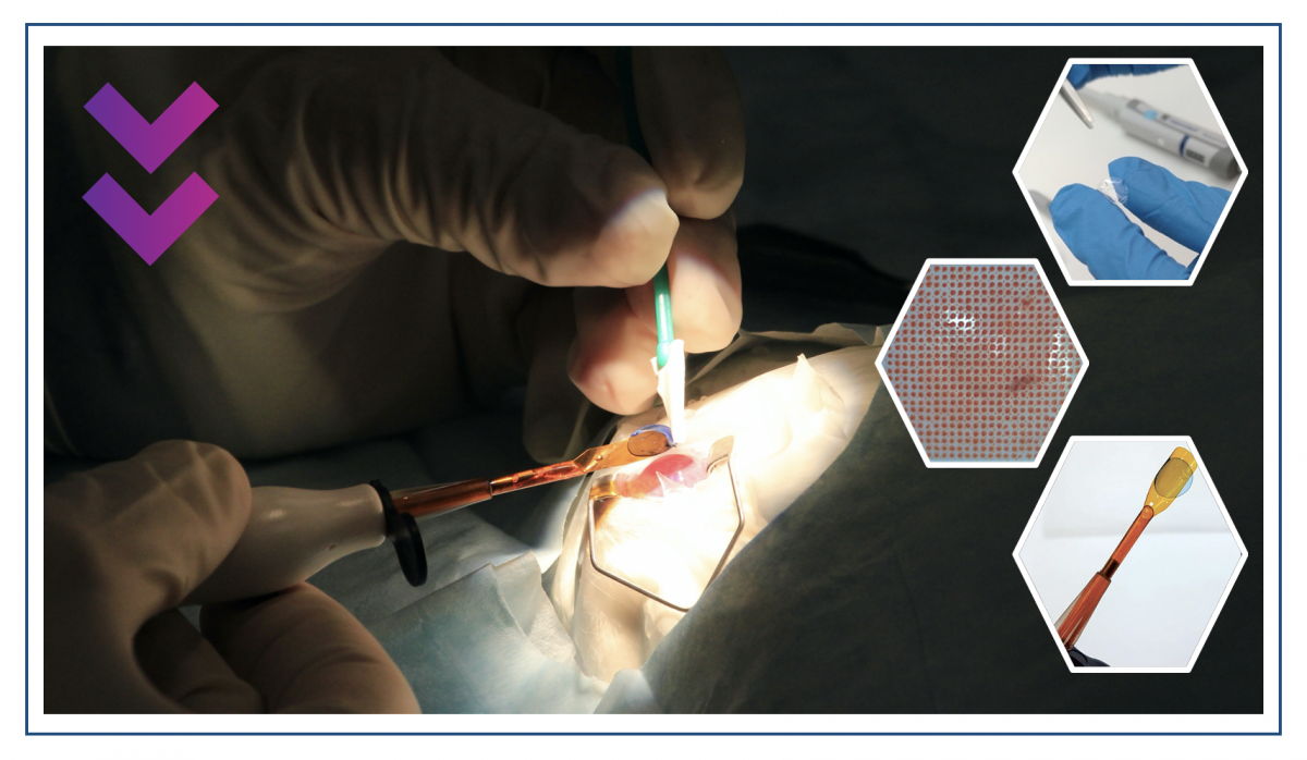 precise-bio תמונה